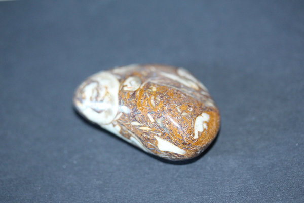 Fossilopal  groß Sammlerstein mit einzigartiger Maserung