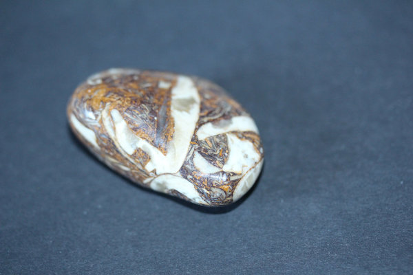 Fossilopal  groß Sammlerstein mit einzigartiger Maserung
